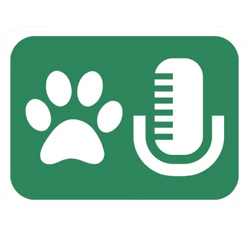 Ícone Footer